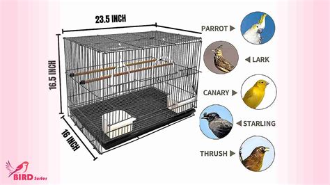 canary bird breeding cages|canary cage size chart.